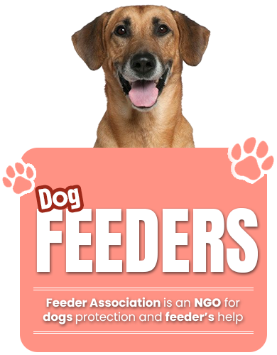 feeder law image